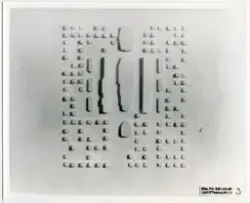 Resolute Bay
Modellfoto