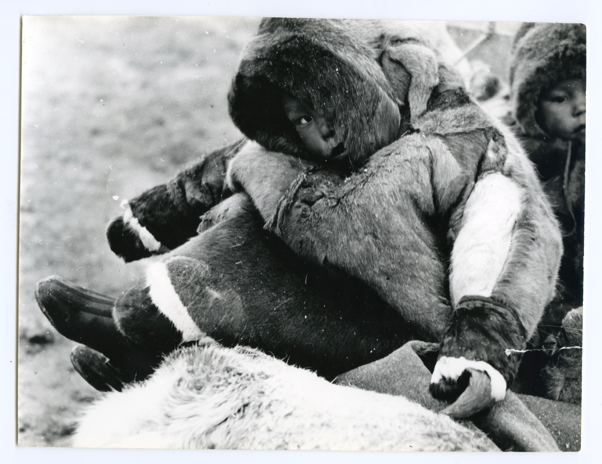 Resolute Bay
Invånare i Resolute Bay