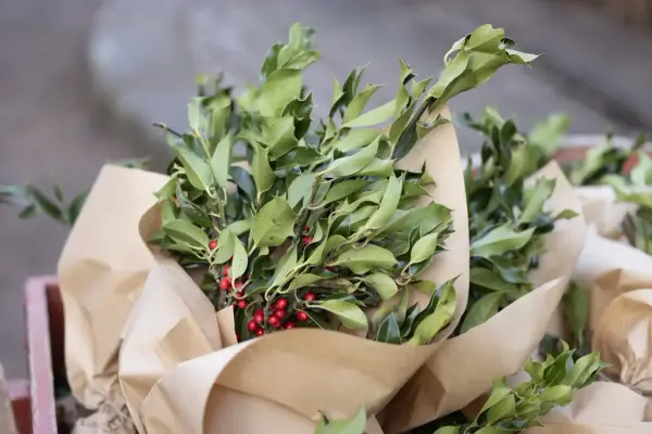 Bunter med grønne juleplanter med røde bær.