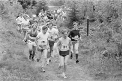 Mjøsjoggen med 250 deltakere ble arrangert av Opplandsbanken