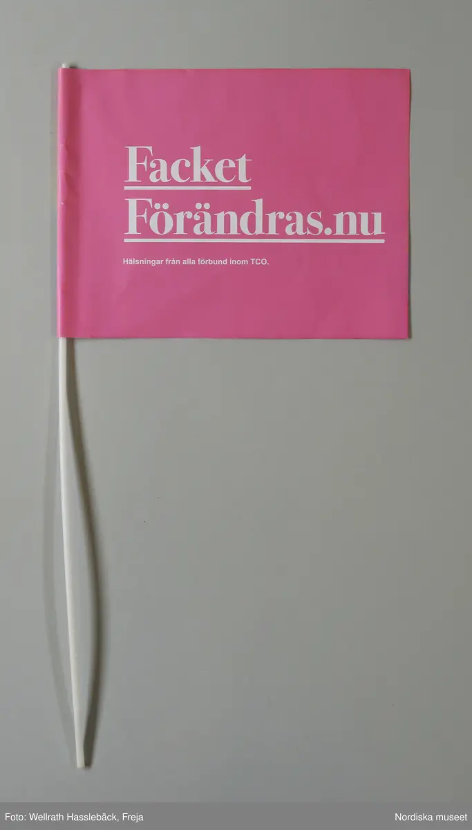 Flagga med pinne. Flaggan av papper med tryck. På framsidan text "Fack you / TCO" mot bakgrund av horisontala ränder i färgerna (uppifrån och ner) rött, orange, gult, grönt, blått och lila, de s.k. regnbågsfärgerna. Flaggan är i ena änden klistrad så att en kanal bildas där en pinne av vit, ihålig plast, skjuts in. 

Färgerna är de s.k. regnbågsfärgerna som ingår i regnbågsflaggan, som ofta används som symbol för HBT-tillhörighet. Även flaggans rosa baksida ska syfta på HBT-tillhörighet då den rosa färgen också ofta används som symbol för just detta.

Flaggan ingår i Nordiska museets dokumentation av Stockholm Pride / Europride 2008. Stockholm Pride är den största årliga festivalen för HBT-personer i Sverige och som 2008 firades 25 jul.-3 aug. Detta år var Stockholm Pride även värd för Europride. Pridefirandet är framför allt uppdelat på två platser, Pride House (år 2008 i Kulturhuset) och Pride Park (i Tantolunden). Flaggan delades ut av TCO (Tjänstemännens centralorganisation)  i de tält de delade med Socialdemokraterna i Pride Park. 

Flaggan är ett exempel på hur många företag och organisationer anpassar sina marknadsföreingsprodukter efter vilka man riktar sig till. "Fack you" ska ge associationer till Fuck You, och sådana tvetydiga syftningar på sex är inte ovanliga när man vänder sig till HBT-personer. 

Föremålet ingår i Nordiska museet dokumentation av Europride/Stockholm Pride 2008 med intervjuer, fotografier och föremål. Se vidare arkivet (D.457).
/Leif Wallin 2009-05-14