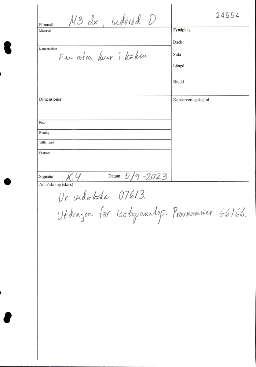 Visdomstanden (tredje molaren) på höger sida i underkäken.
Tandens ena rot sitter kvar i käken.
Molar 3, dexter, mandibula.