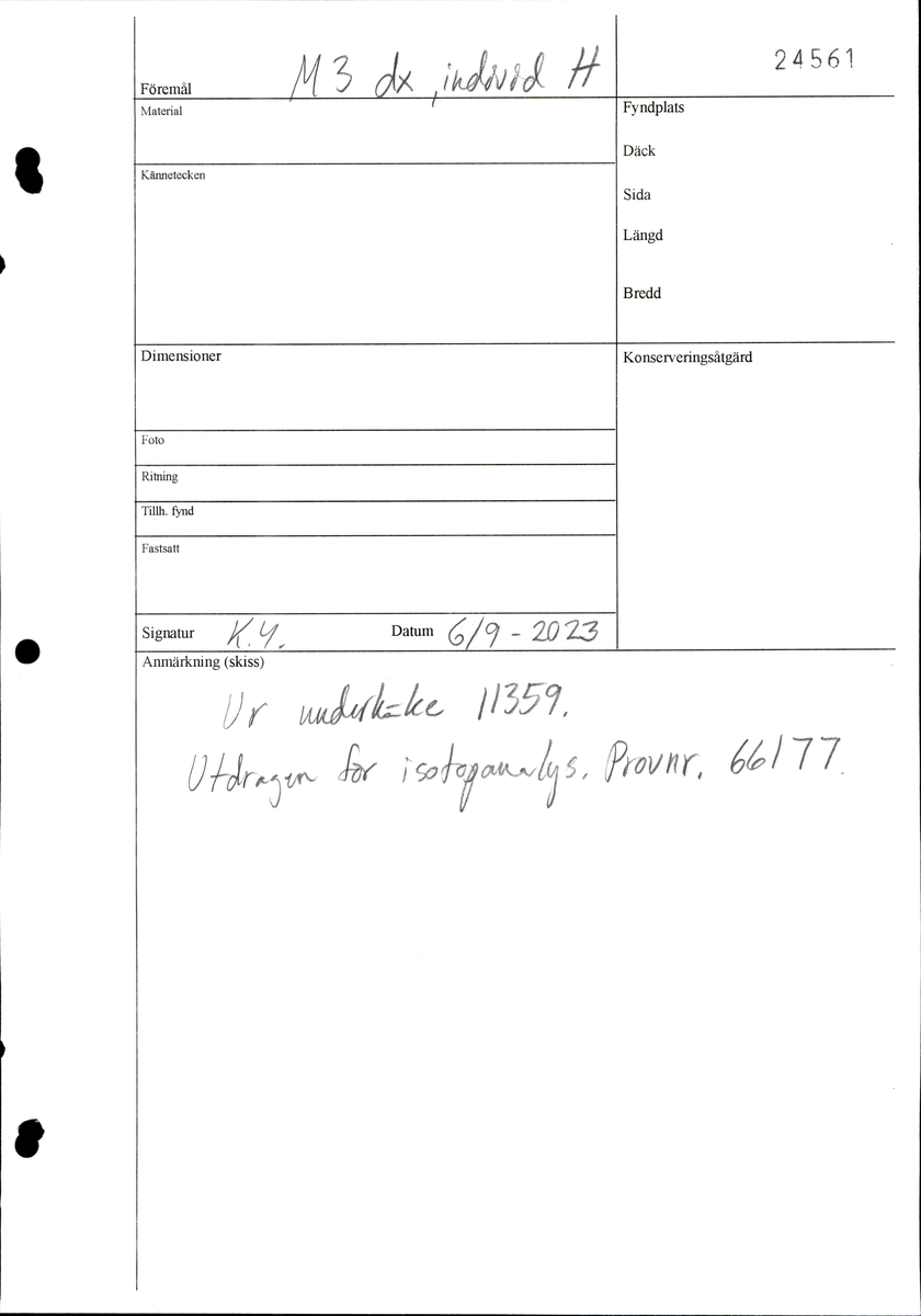 Tredje molaren från höger sida i underkäken.
Molar 3 dexter, mandibula.