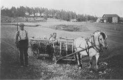 Høykjøring på Nes, 1947.