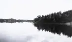 Landskap med en sjö och en skog, där trädens reflektion syns tydligt i vattnet, 1924.