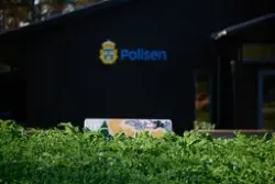 BETONGGRIS #2 [Stein]