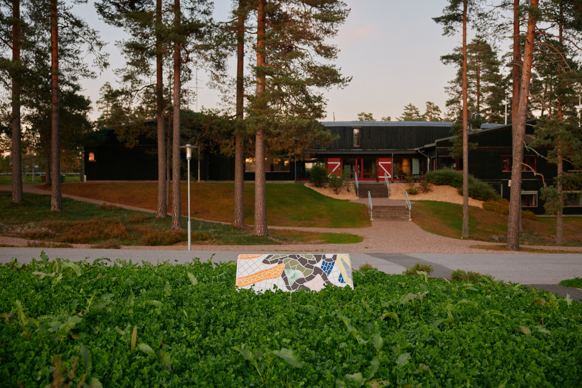 Kunstprosjektet knytter seg aktivt til stedet ved å tematisere grenser, grenseoppganger og grenseverdier – både fysiske, mentale og strukturelle. De to skulpturene til Julius Berntzen Karoubi befinner seg på hver sin side av grensen, noe som kan gi assosiasjon til fredmonumentets to søyler og Morokuliens hjørnesteiner. Gjennom bruk av mosaikk omformer Karoubi tradisjonelle sperrestein, kjent som betonggriser, til skulpturer med et fargerikt og fragmentert uttrykk. Skulpturene tar utgangspunkt i allerede eksiterende former og materialer som kommer med en betydning og en funksjon forbundet med kontroll, begrensning og makt.