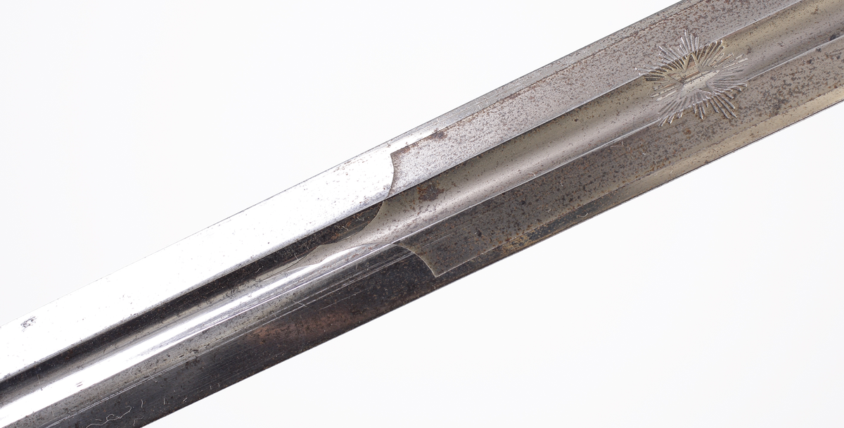 Officerssabel, möjligen modell M 1859 eller M 1899, med förgyllt mässingsfäste. Kaveln är klädd med svärtat fiskskinn, försedd med 8 räfflor lindade med snodd mässingstråd. Ryggbeslaget övergår i en kappa utförd som ett lejonhuvud. Parerplåten är enkelsidig och tillverkad av genombruten förgylld mässing. Klingan är tveeggad, försedd med blodskåror och etsade förgyllda ornament, Smålandsvapnet samt orden "Fäderneslandet" på ena sidan och "Konungen" på andra sidan.

Inskrivet i huvudbok år 1941.