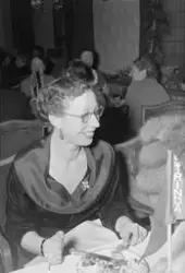 Strinda Høirekvinnelag feirer 20 år