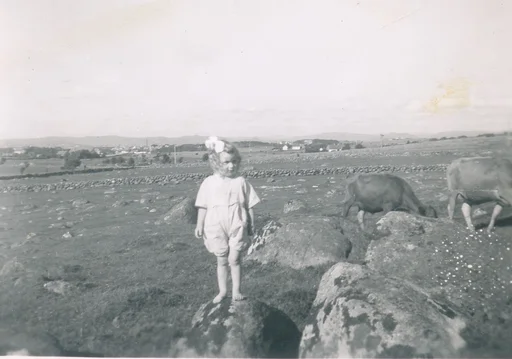 Ei lita jente står på ein stein i eit landskap med steinete jorder, steingardar og kyr.