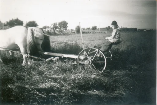 Jordbruksarbeid med ein hestedriven reiskap (slåmaskin?). Ei gut sit med taumane.