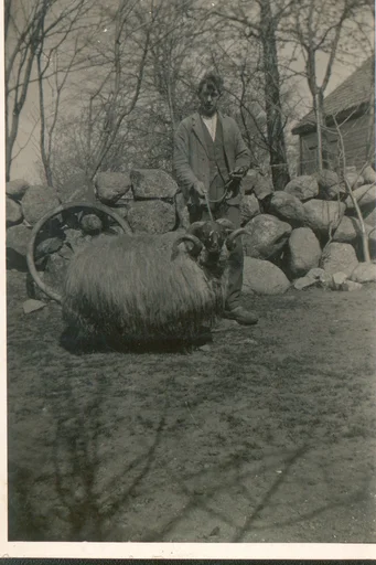 Ein mann med ein stor ver. I bakgrunnen ser vi ein steingard, og skimtar ei bygning.