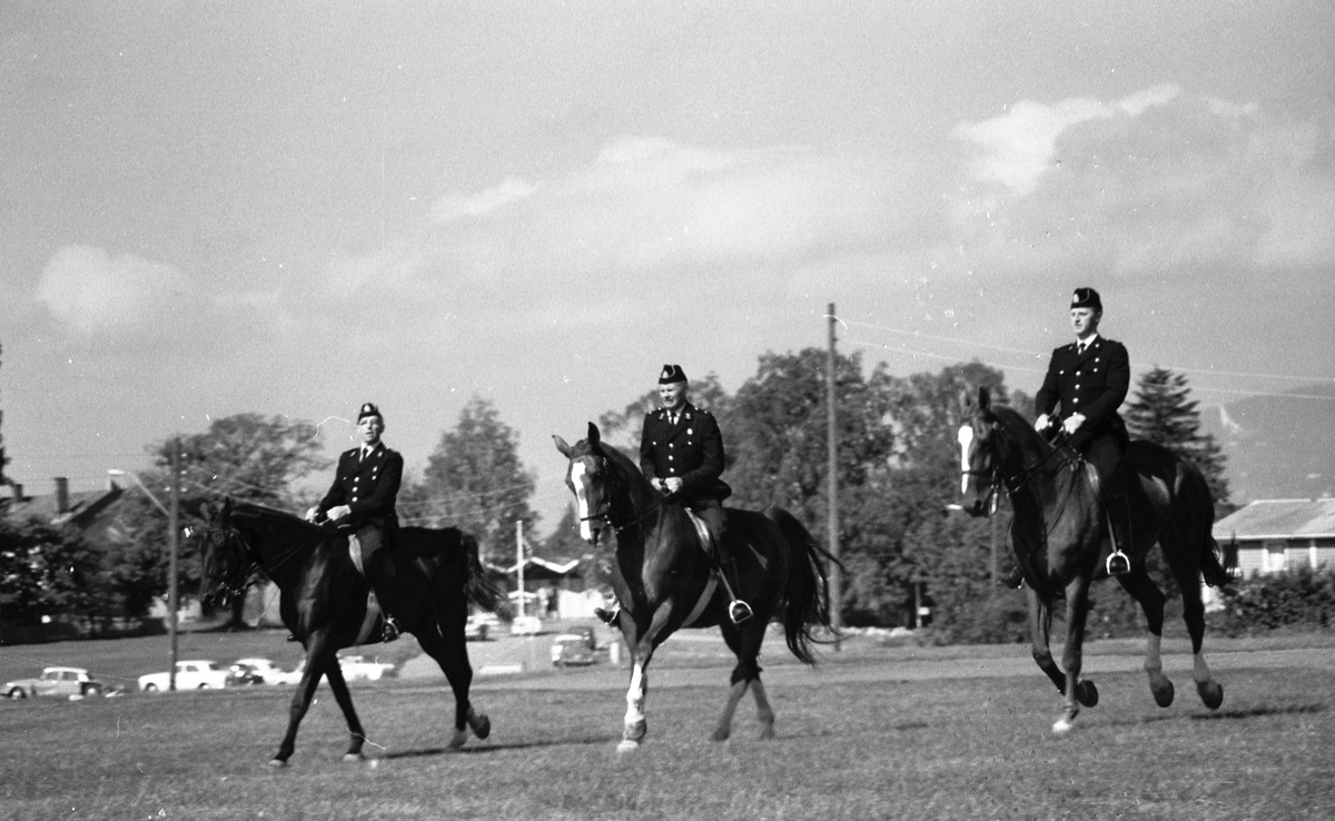 Politiryttere trener på en slette.