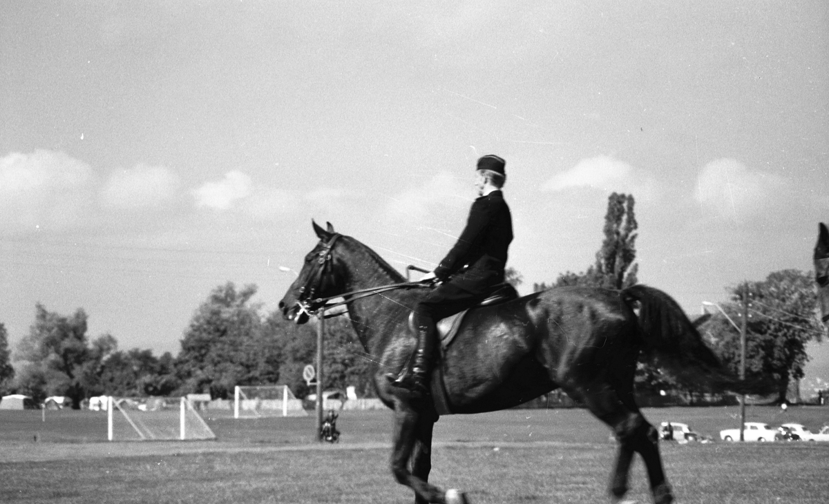 Politiryttere trener på en slette.