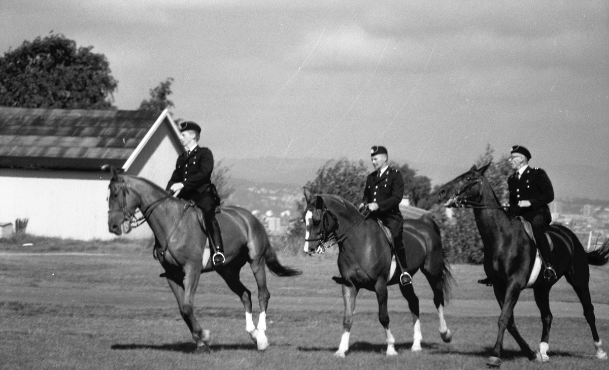 Politiryttere trener på en slette.
