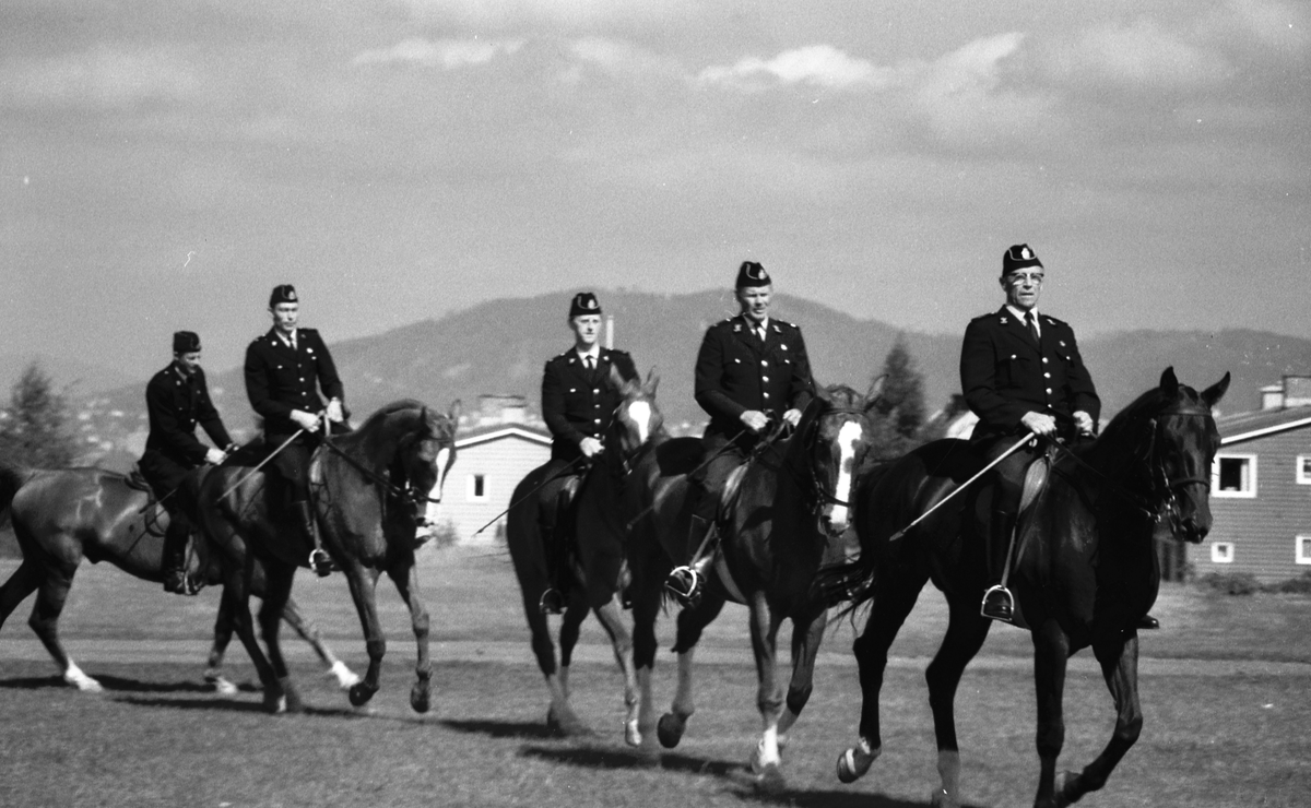 Politiryttere trener på en slette.