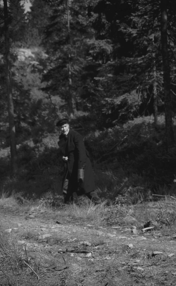 Trening med politihund i skogen.