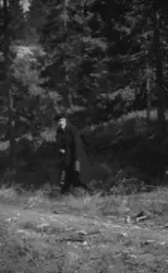 Politihund under trening