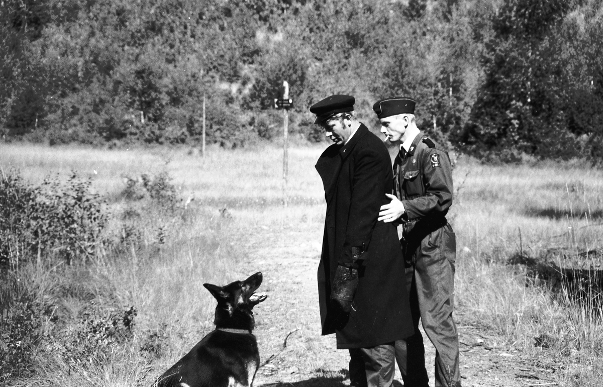 Trening med politihund i skogen.