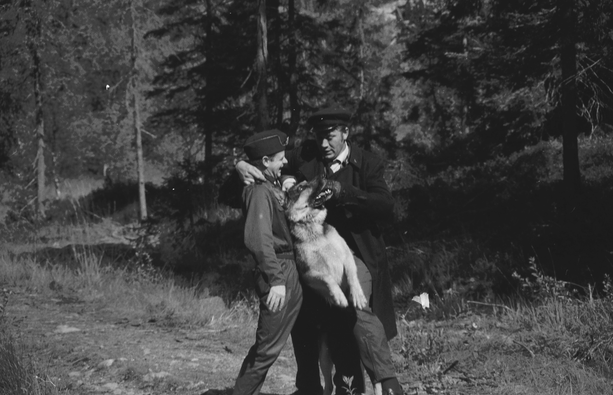 Trening med politihund i skogen.