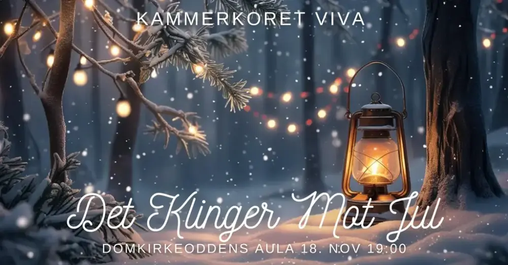 Skgoslandskap i snøvær, med lyslenker mellom trærne og en tent fjøslykt på bakken. Tekst: Kammerkoret Viva - Det klinger mot jul - Domkirkeoddens Aula 18. nov. kl. 19