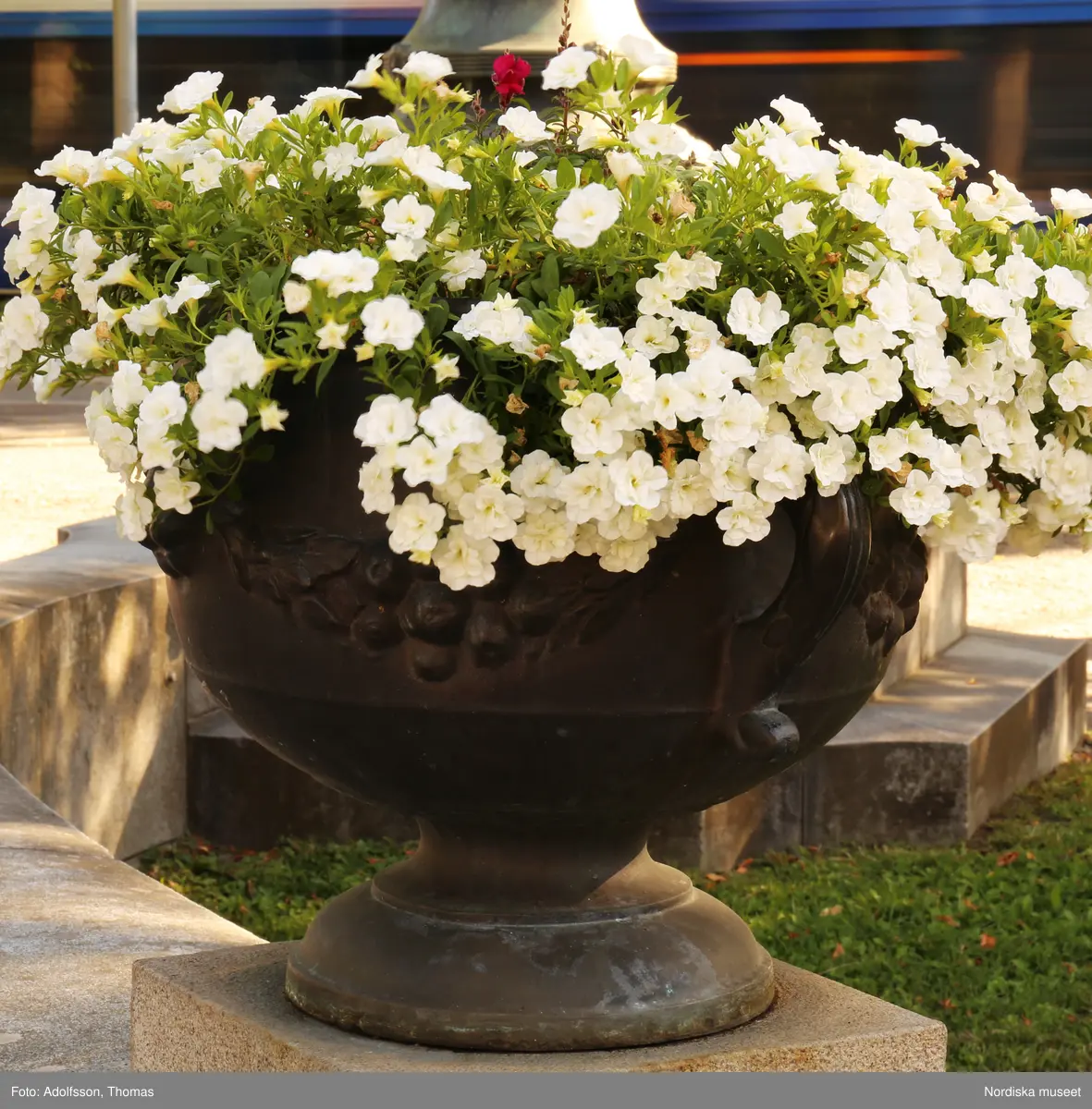 Urnor av gjutjärn gjutna hos Herman Bergmans konstgjuteri, Stockholm. Ingår i en svit om 14 stycken.
