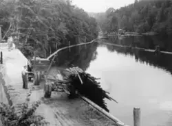 Utislag av lastebiltransportert tømmer i elva Tista i Halden