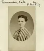 Med en intensiv och levande blick möter oss här Sofia Wallberg. Gift 1871 med handlare Carl Fornander i Linköping och det är uppskattningsvis runt den tiden hon lät sig porträtteras. Maken drev sin handelsrörelse med framgång och de torde haft det gott ställt med goda livsvillkor i sin centrala bostad invid Stora torget. Så hade livet inte startat för någon av dem. Carl Fornander hade som fosterbarn inflyttat till Linköping och tidigt kommit i arbete som bodgosse. Sofias föräldrar hörde till den lägre rankade arbetskraften vid godset Engelholm i S:t Anna. Likt sin make lyckades Sofias far emellertid att bryta sig ur sin givna lott och blev under Sofias uppväxt kopparslagare och gårdsägare i Valdemarsvik. Hur Sofia mötte sin make med så skilda liv och hemorter är oklart men sensommaren nämnda år stod deras bröllop i Linköping. Äktenskapet blev barnlöst och efter makens död 1896 valde hon att flytta till sin yngre bror i Karlstad, där hon avled 1905.