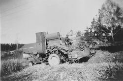 Skurtresking på Nes, Svareverud, ca. 1952.