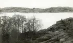 Ålands skärgård 1959. Vy över ett skärgårdslandskap med klippor, gles vegetation och några träd i förgrunden. I bakgrunden syns vatten och ytterligare en kobbe.