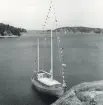 Motorseglaren PIRAYA ligger förtöjd vid en klippa på Härsö den 20 juli 1972. Båten har signalställ och två master.