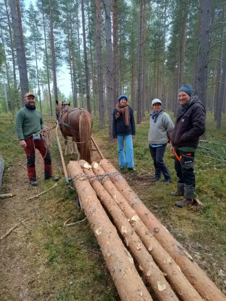 Med hest i skogen
