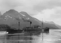 Det tyske transportskipet d/s "Dessau" (5933 BRT) ved Finnsn