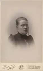 Kvinnoporträtt. Math. Öhman. G. C. J. 1893.