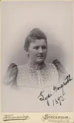 Kvinnoporträtt. Lydia Bergroth. 1893.