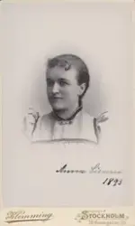 Kvinnoporträtt. Anna ? 1893.
