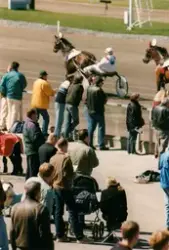 Publik som följer lopp på Åbytravet i Åby, Mölndal, under tr