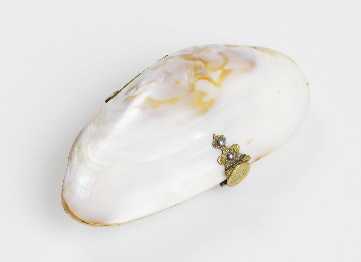 Etui, av musselskal med beslag av mässing.
Inskrivet i huvudkatalog 1936.