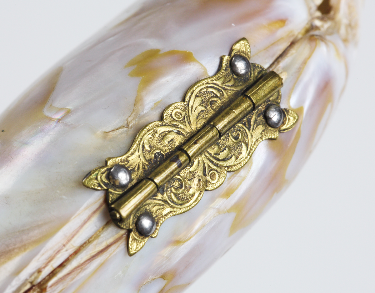 Etui, av musselskal med beslag av mässing.
Inskrivet i huvudkatalog 1936.