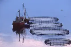 Hydrotech, Fredsvik (Møre og Romsdal) : Båt ved oppdrettsanl