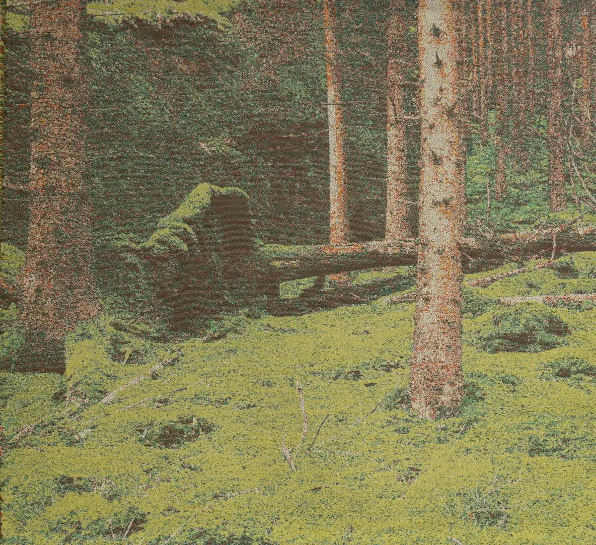 Vevd bilde av skoglandskap med mose, trestammer og rotvelter 