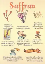 Julens kemi var en årligen återkommande utställning och prog