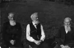 Feiring av Ole I. Stefanussen` s 95 årsdag, bildet er tatt i