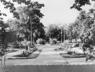 Vykort från Söderhamn. Stadsparken omkring år 1960.