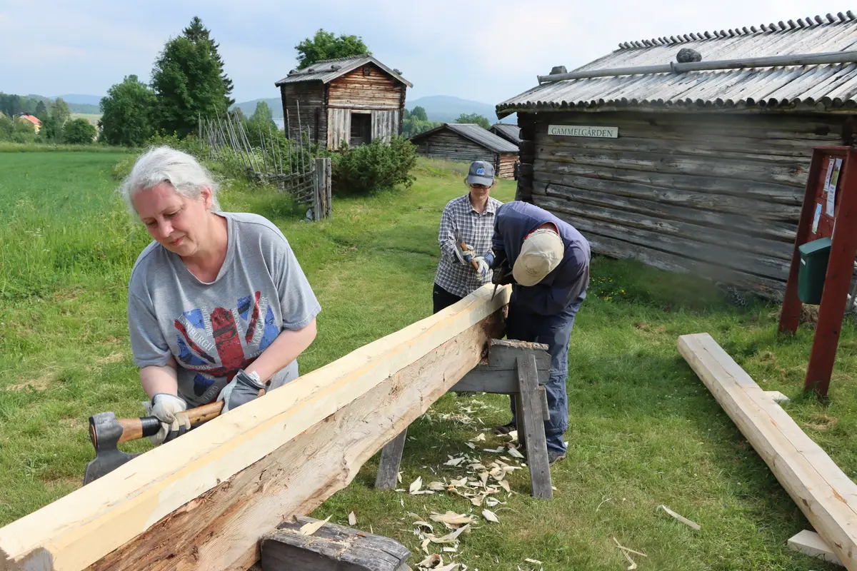 tre personer bilar en timmerstock