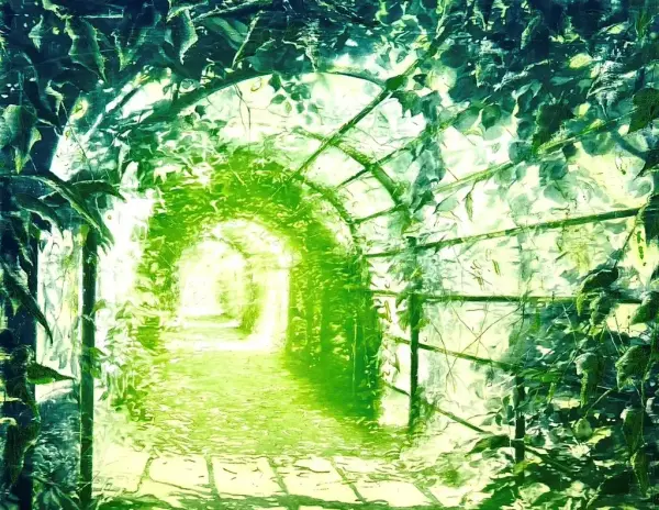 En grønn passasje gjennom en pergola 