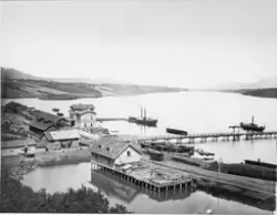 Oversiktsbilde med Eidsvoll stasjon, to dampbåter, beddingen