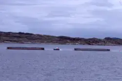 Utsikt mot oppdrettsanlegg, båt mellom merdene