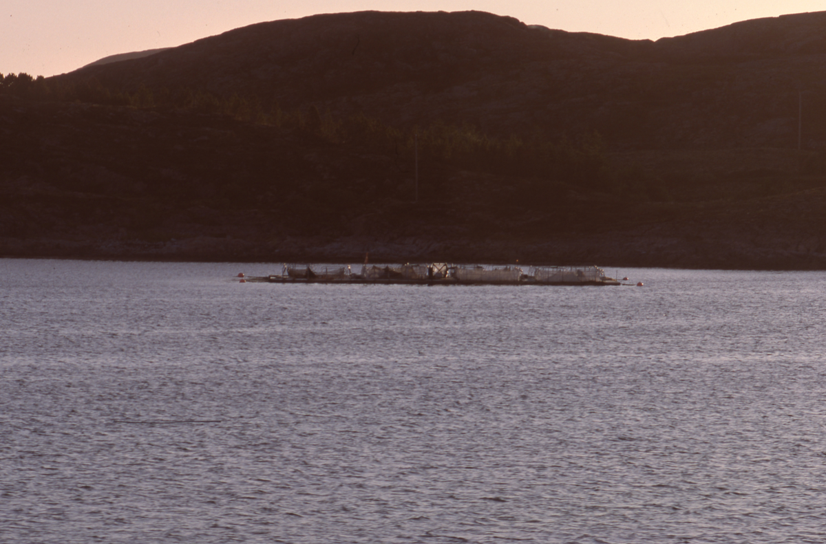 Utsikt mot oppdretsanlegg