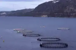 Flemma (Nordmøre) : Utsikt mot oppdrettsanlegg